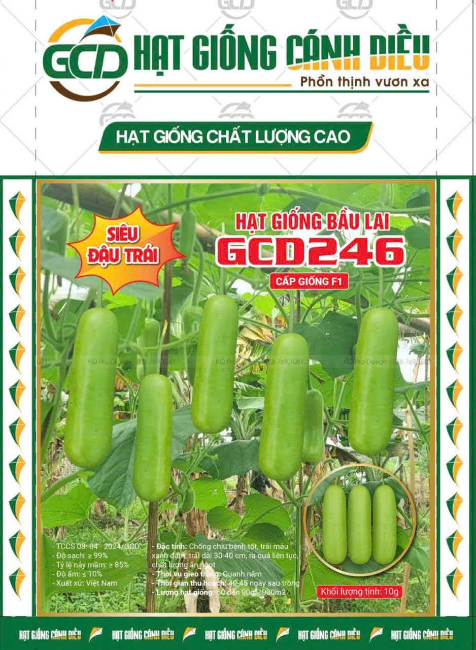 Hạt giống Bầu lai GCD 246